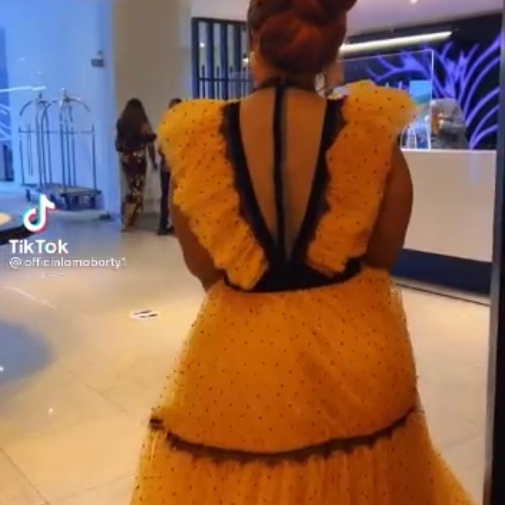 Beautiful lovely turkey outdoor